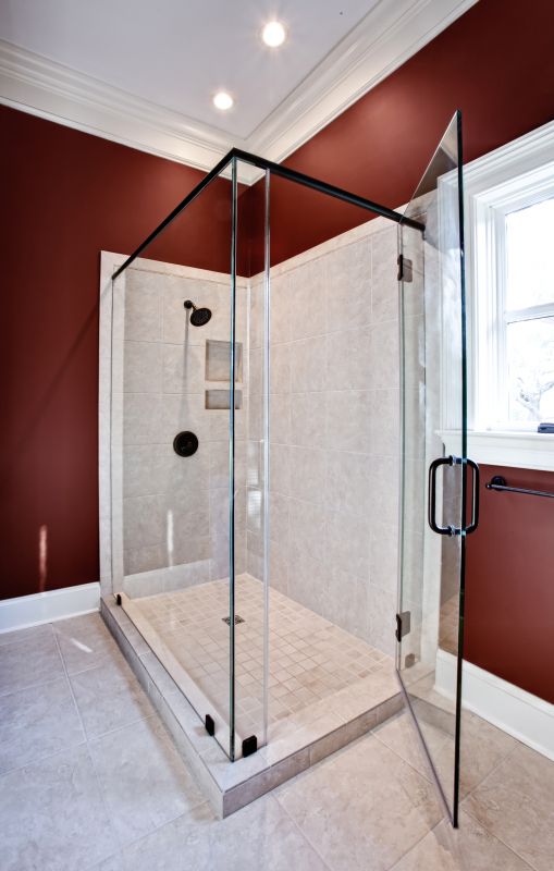 Elegant Frameless Shower Door